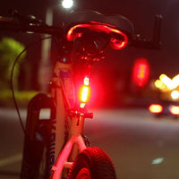 OPP bagged RED WHI light