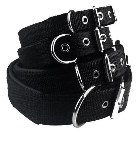Nylon & Foam Comfort Dog Collar (Multi-Color)
