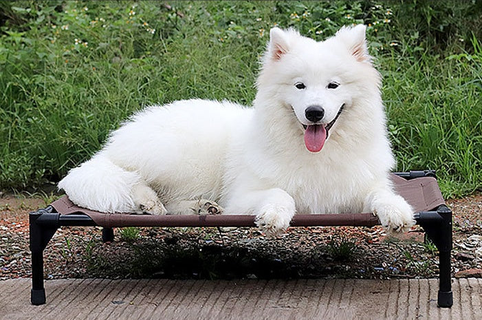 Stack & Snooze Waterproof Dog Bed