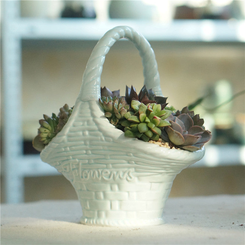Creative Succulent Plant Pots Home Ornaments