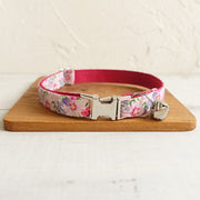 Thick Padded Soft Pet Collar