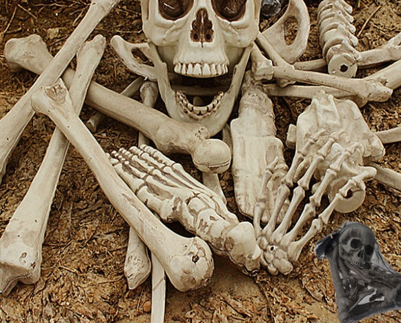 28PCS Halloween Skeleton Bones Set – Scary Skull and Bone Props for Haunted House and Party Decorations