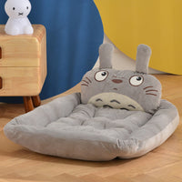 Big eyed cat
