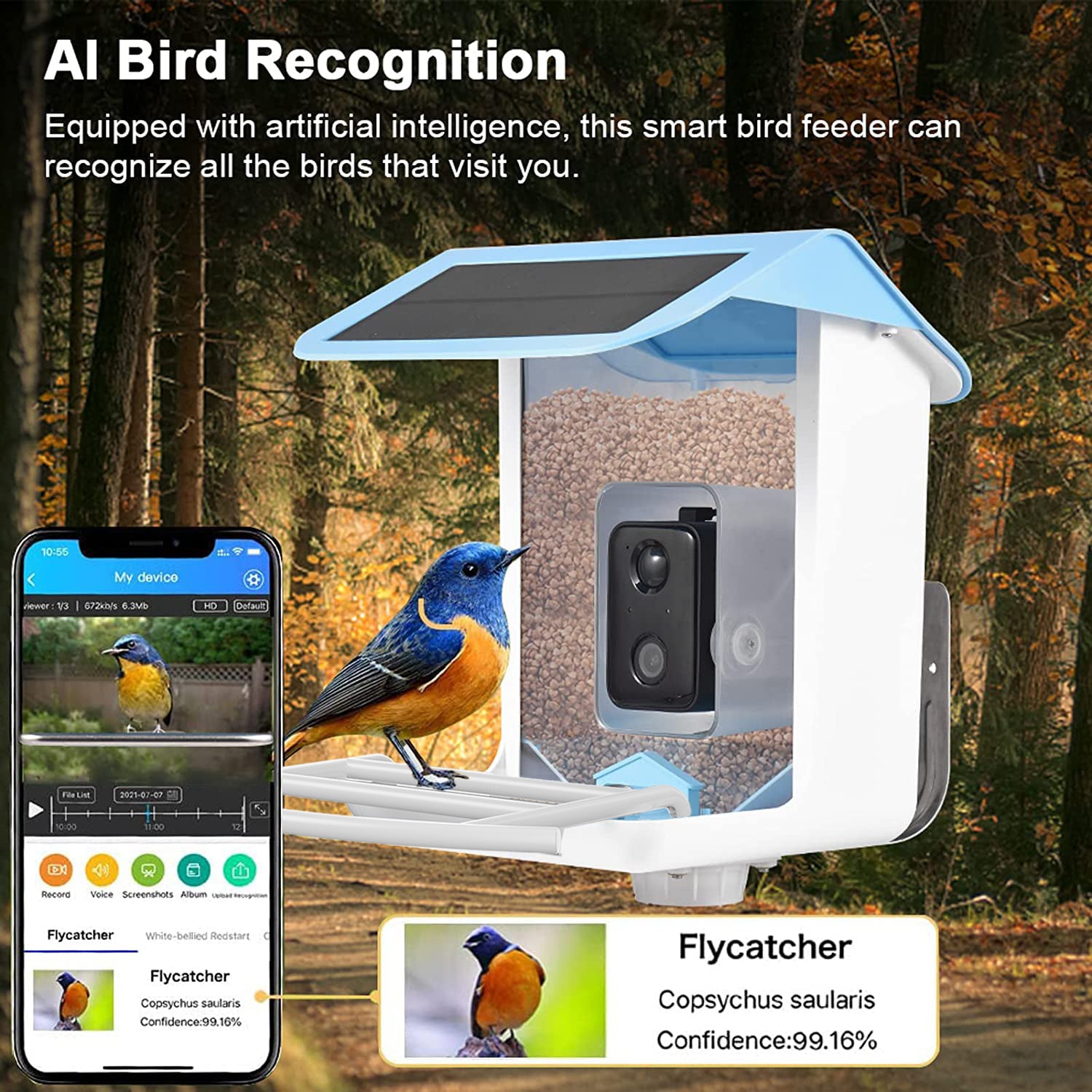 Smart Bird Feeder with AI Recognition Camera – Solar Powered