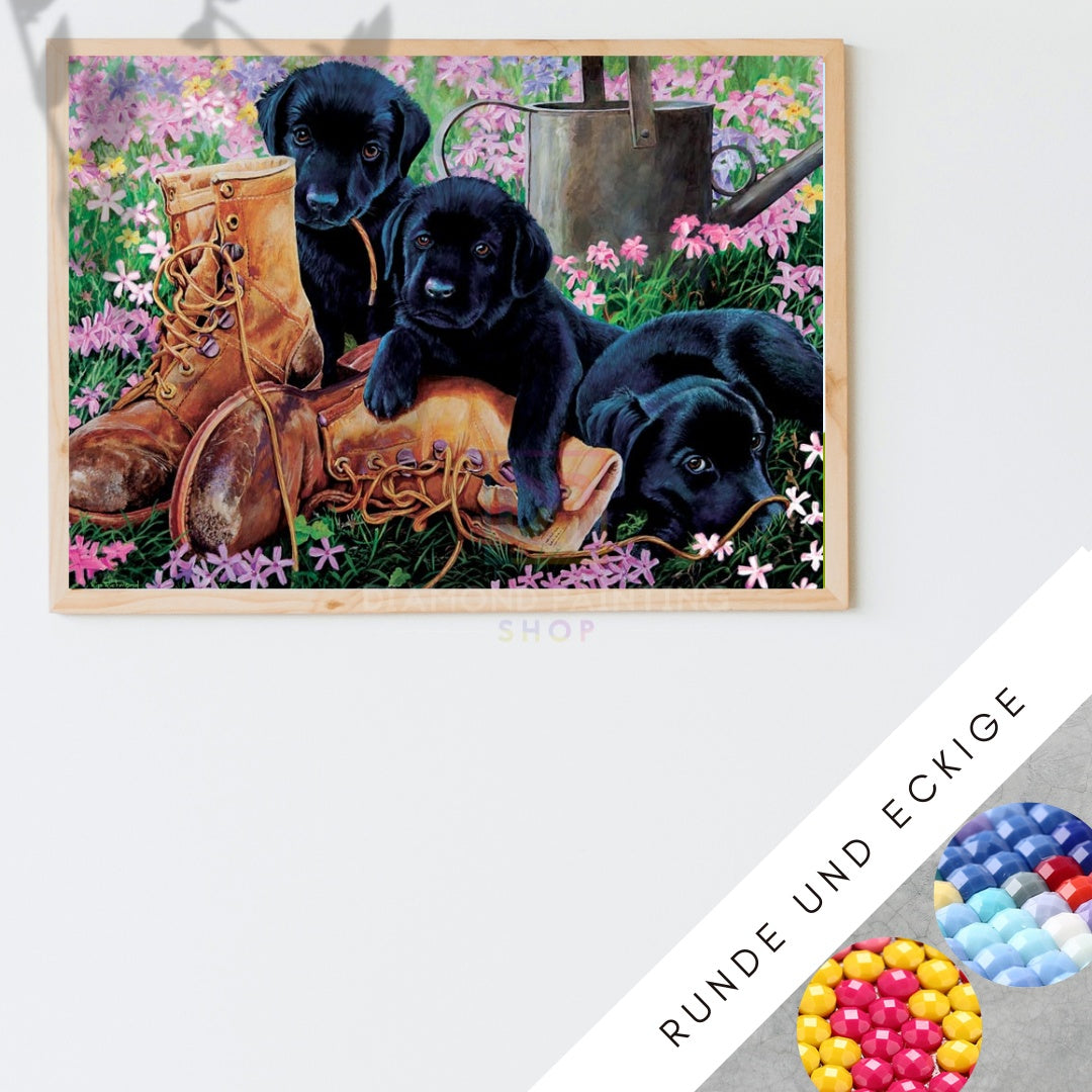 5d Diamond Painting Animal Dog Full Diamond Stick-on Crystals Painting Living Room Diy Decorative Painting