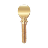 Saxophone Clip Screw