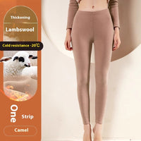 Camel Color