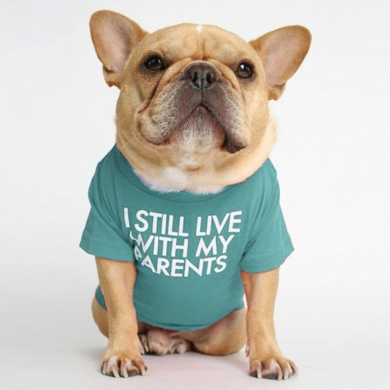 Fadou Turtleneck Round Neck T-shirt Pet Clothes