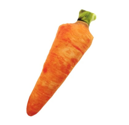 Squeaky Veggie & Drumstick Pet Chew Toy