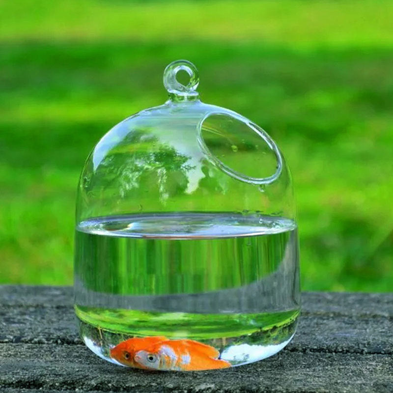 Transparent Glass Aquarium