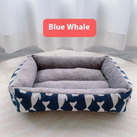 Blue Whale