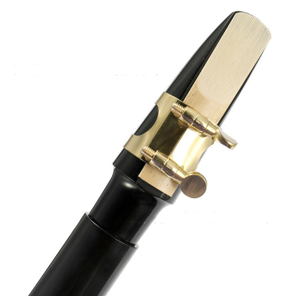 Portable Mini Saxophone Alto Mouthpiece Sax Draagbare Saxofoon Lichtgewicht Sax Muziekinstrumenten Met Draagtas Voor Beginner