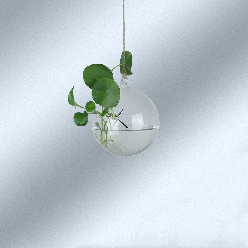 Creative Hydroponic Plant Aquarium Hanging Transparent Glass Vase