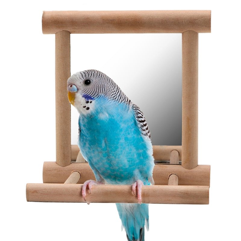 Bird Stand with Mirror Perch Toy