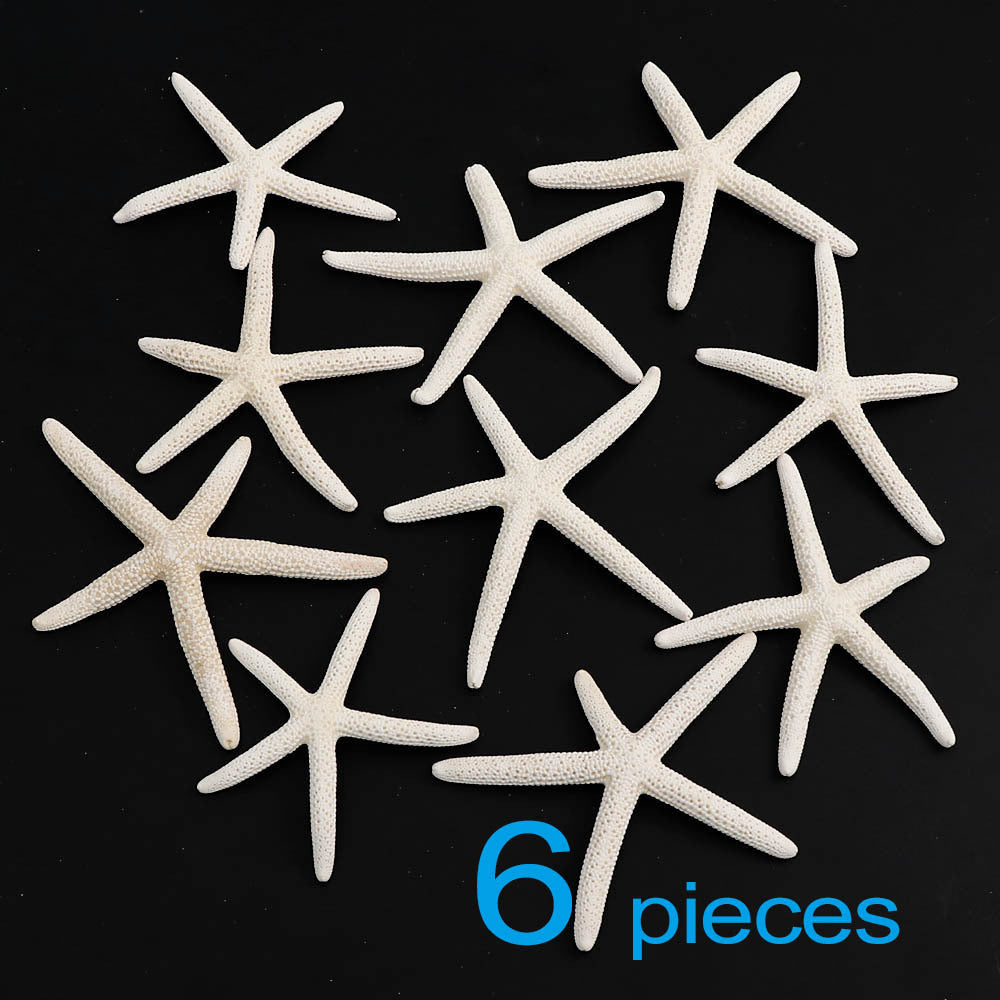 Handmade Diy Material Fish Tank Micro Landscape Starfish Jewelry