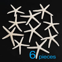 6starfish
