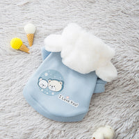 Blue bear