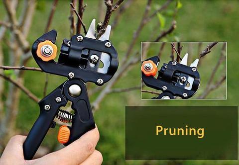 Grafting Pruning Shears For Grafting Fruit Tree Seedlings