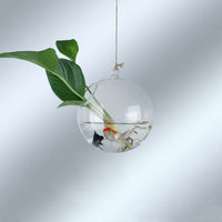12cm ball