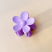 Purple Medium