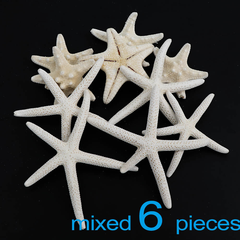 Handmade Diy Material Fish Tank Micro Landscape Starfish Jewelry