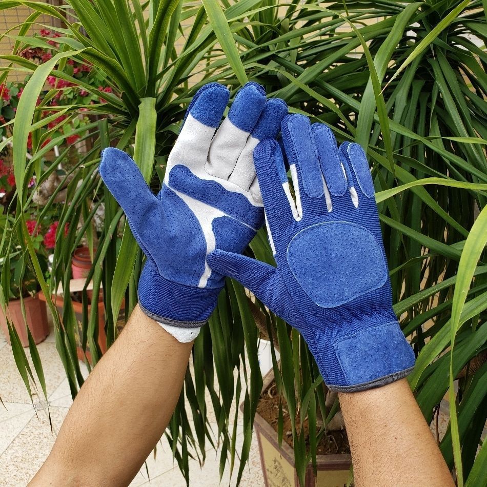Outdoor Sports Gloves – Durable Composite Fabric in Multiple Colors
