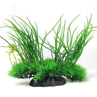Plant grass