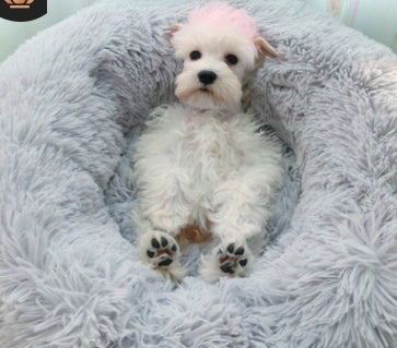 Soft Long-Hair Plush Pet Nest Bed in Multiple Sizes and Colors