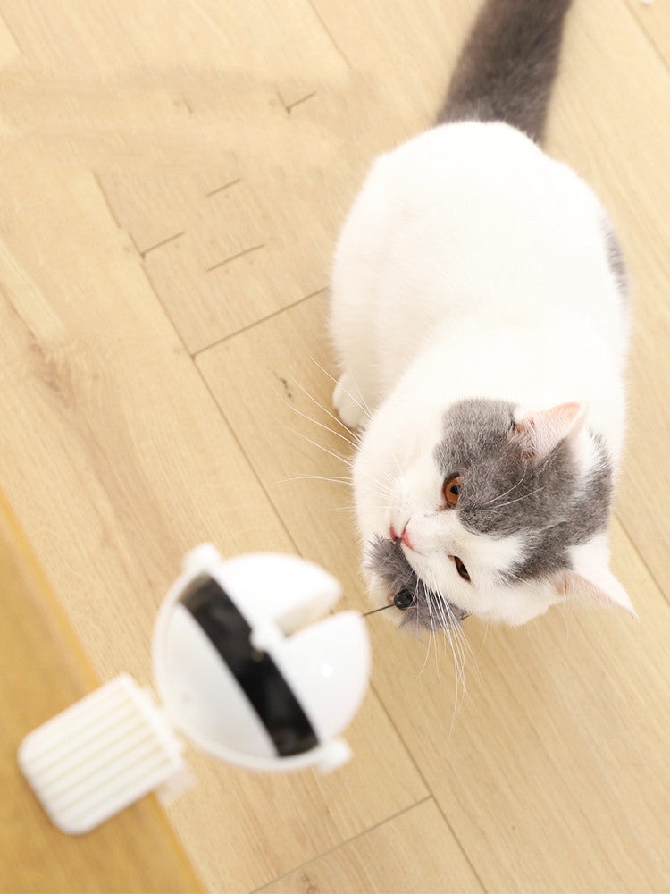 Electric Automatic Lifting Motion Interactive Cat Teaser Ball