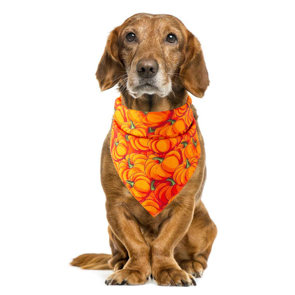 Halloween Pet Bandana – Festive Saliva Towel for Dogs and Cats