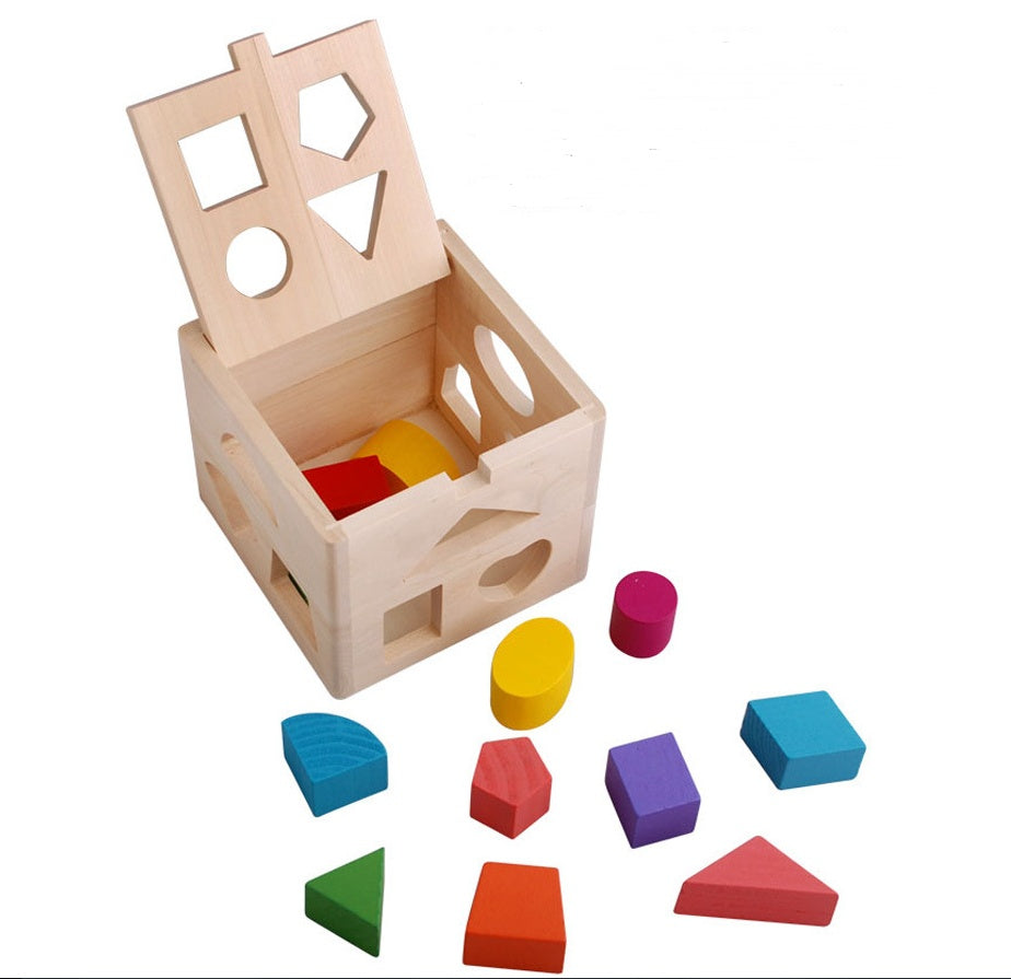 Thirteen Hole Intelligence Box