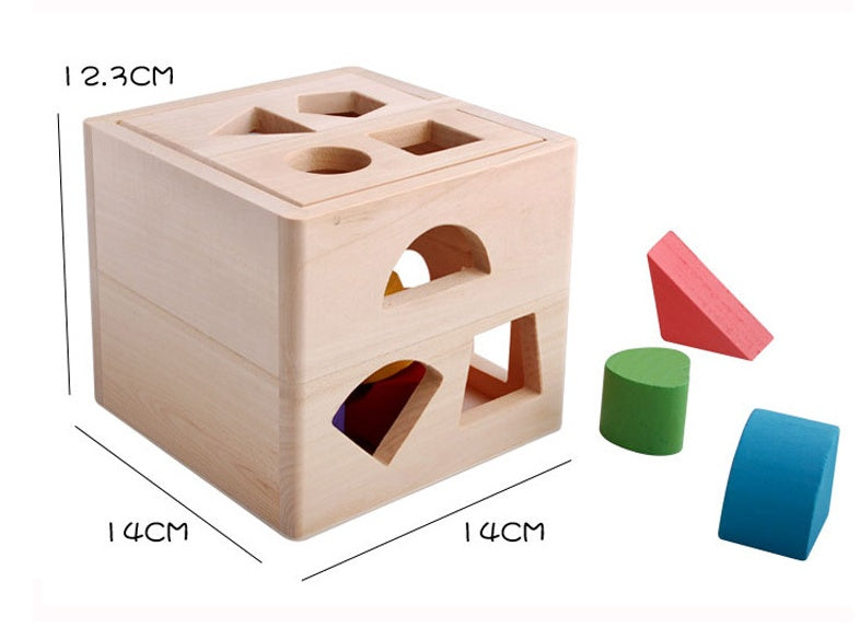 Thirteen Hole Intelligence Box