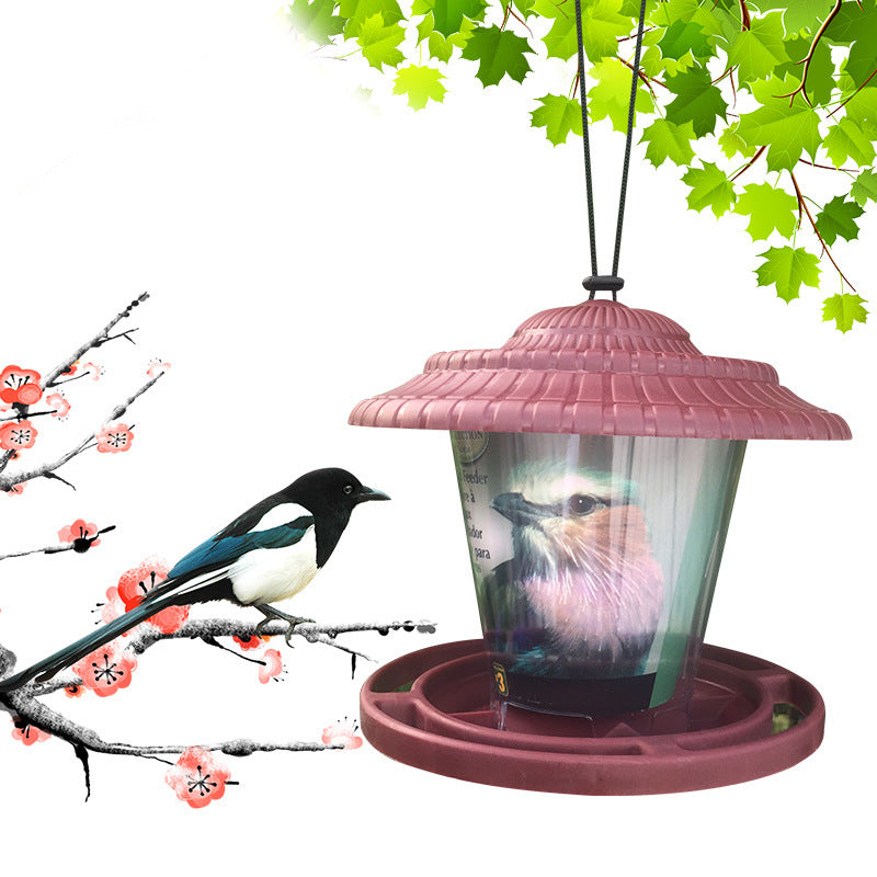 Transparent Plastic Bird Feeder for Parrots and Small Birds
