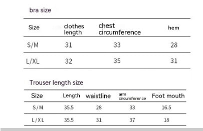 Women’s Seamless Sports Bra and High-Waist Biker Shorts 2-Piece Set