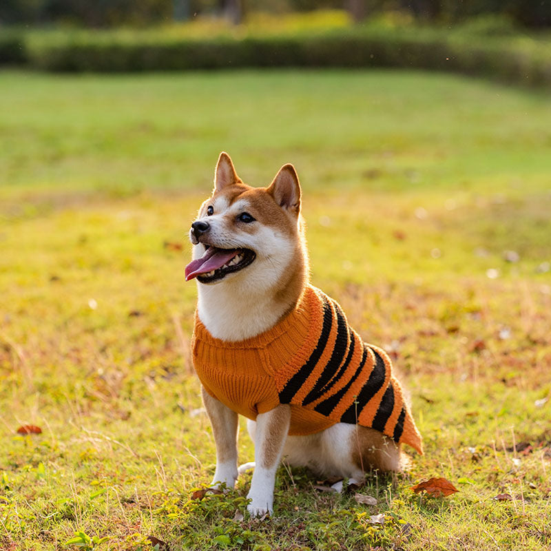 Halloween Dog Sweater – Warm Pet Costume Outfit for Teddy Dogs and Small Breeds