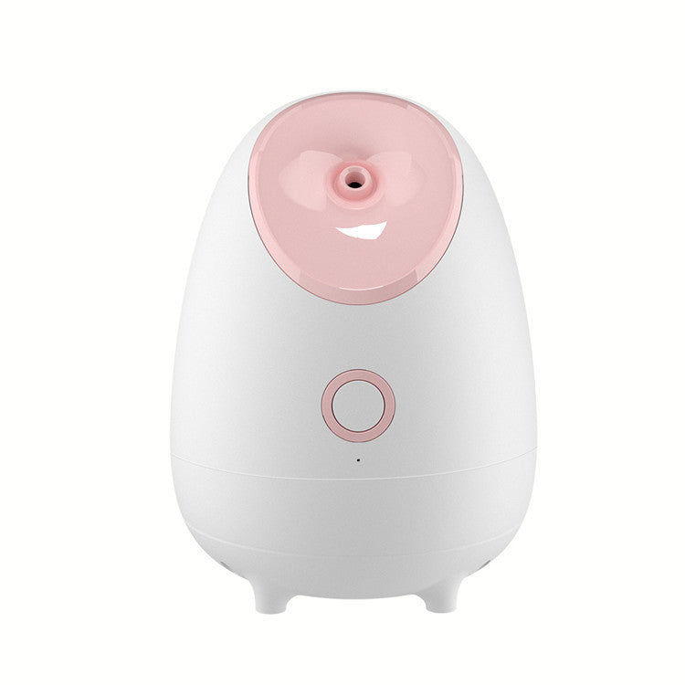 Hot Spray Facial Steamer Portable Beauty Device for Skin Care