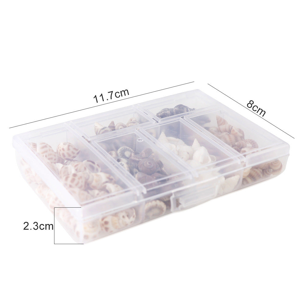 Mixed Natural Small Snail Aquarium Landscaping Fish Tank Micro Landscape Decoration