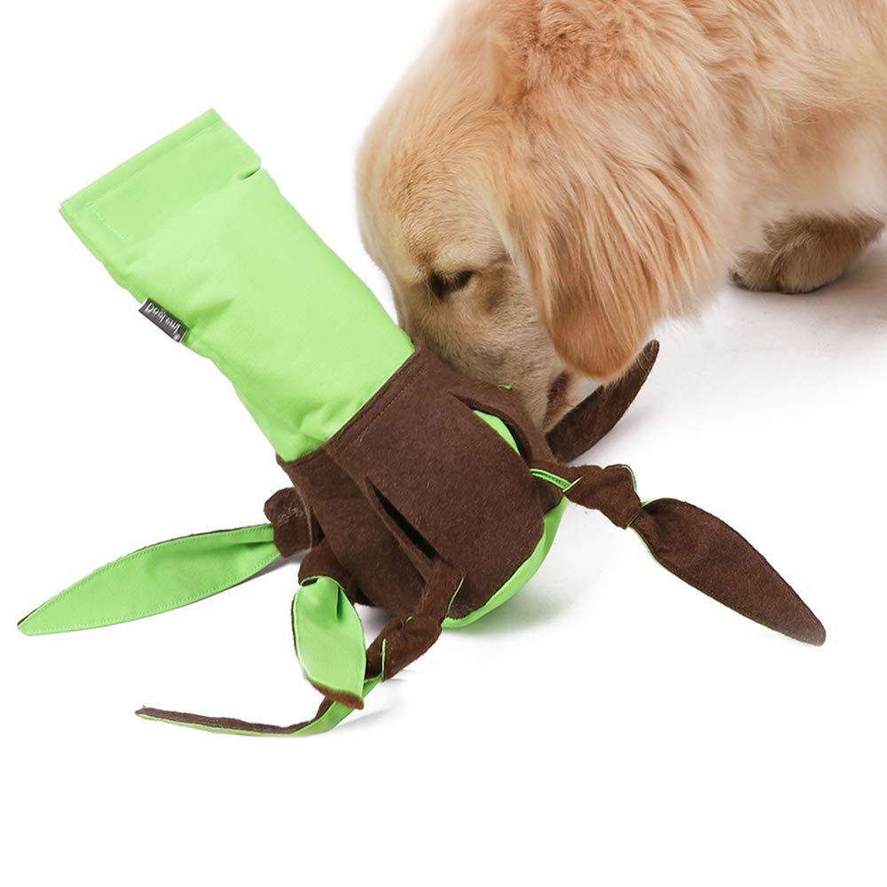 Durable Green Oxford and Felt Cloth Sniff Bite Toy for Pets