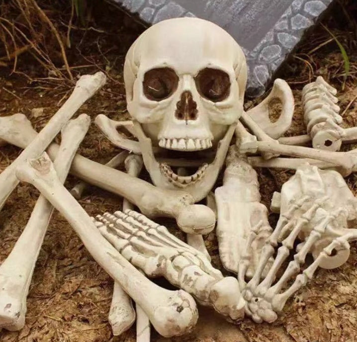 28PCS Halloween Skeleton Bones Set – Scary Skull and Bone Props for Haunted House and Party Decorations