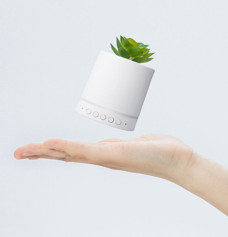 Bluetooth Audio Out Wireless Portable Succulent Plant Light
