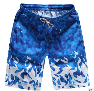 Men's Regular Cut Quick Dry Printed Polyester Shorts Beach