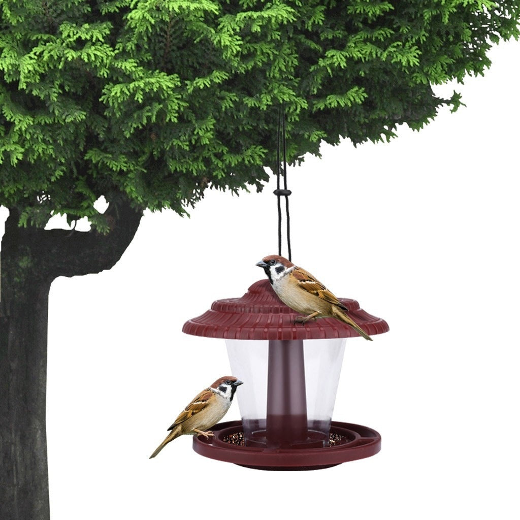 Transparent Plastic Bird Feeder for Parrots and Small Birds