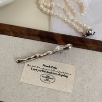 2 Silver Duckbill Clip