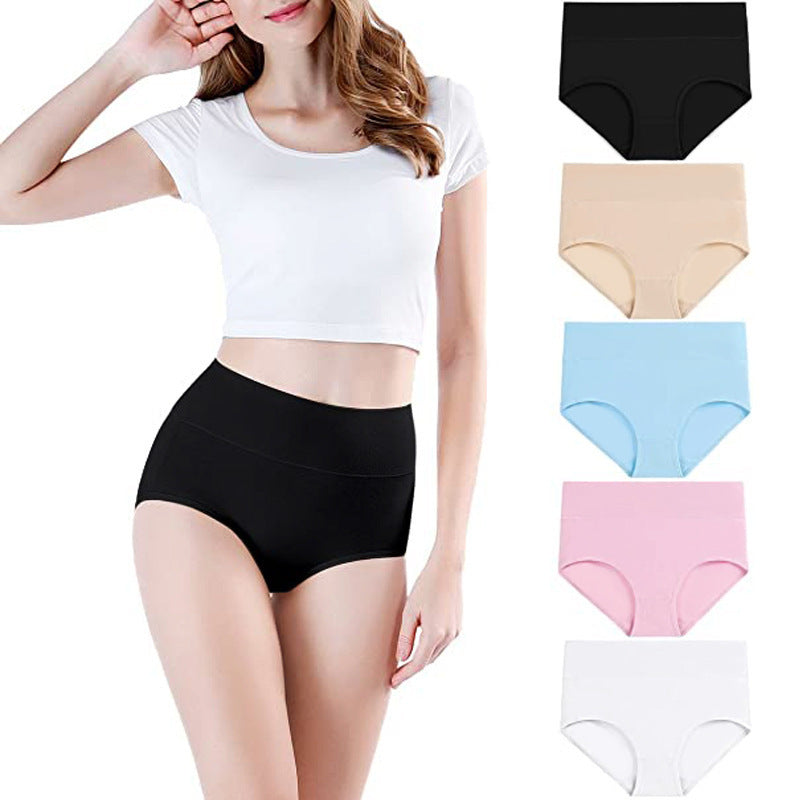 Women’s High-Waist Shaping Underwear – Control Briefs (Plus Size)