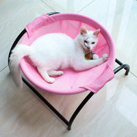 Pink cat lying in the nest