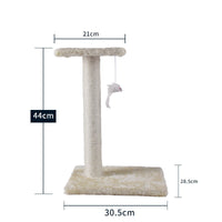 Apricot jumping section