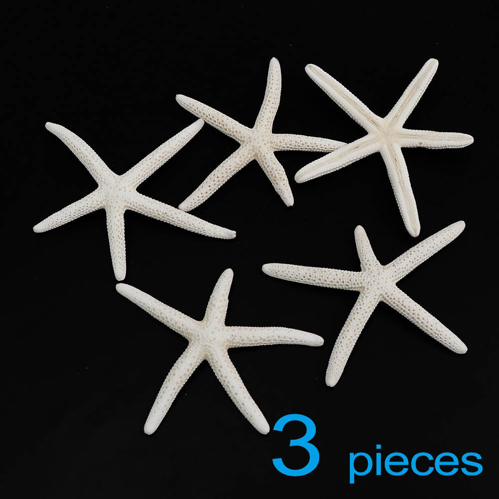 Handmade Diy Material Fish Tank Micro Landscape Starfish Jewelry