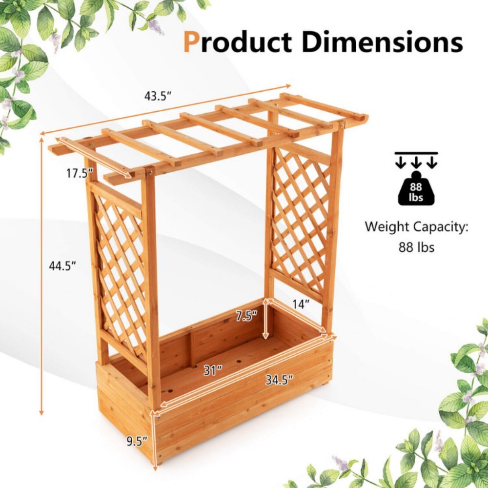 Raised Garden Bed With Trellis Or Climbing Plant And Hanging Roof