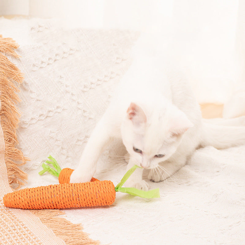 Interactive Carrot-Shaped Catnip and Tooth-Grinding Paper Sticks for Cats
