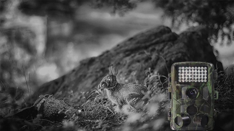 Trail Game Camera – 1080P Wildlife Hunting Cam with Night Vision